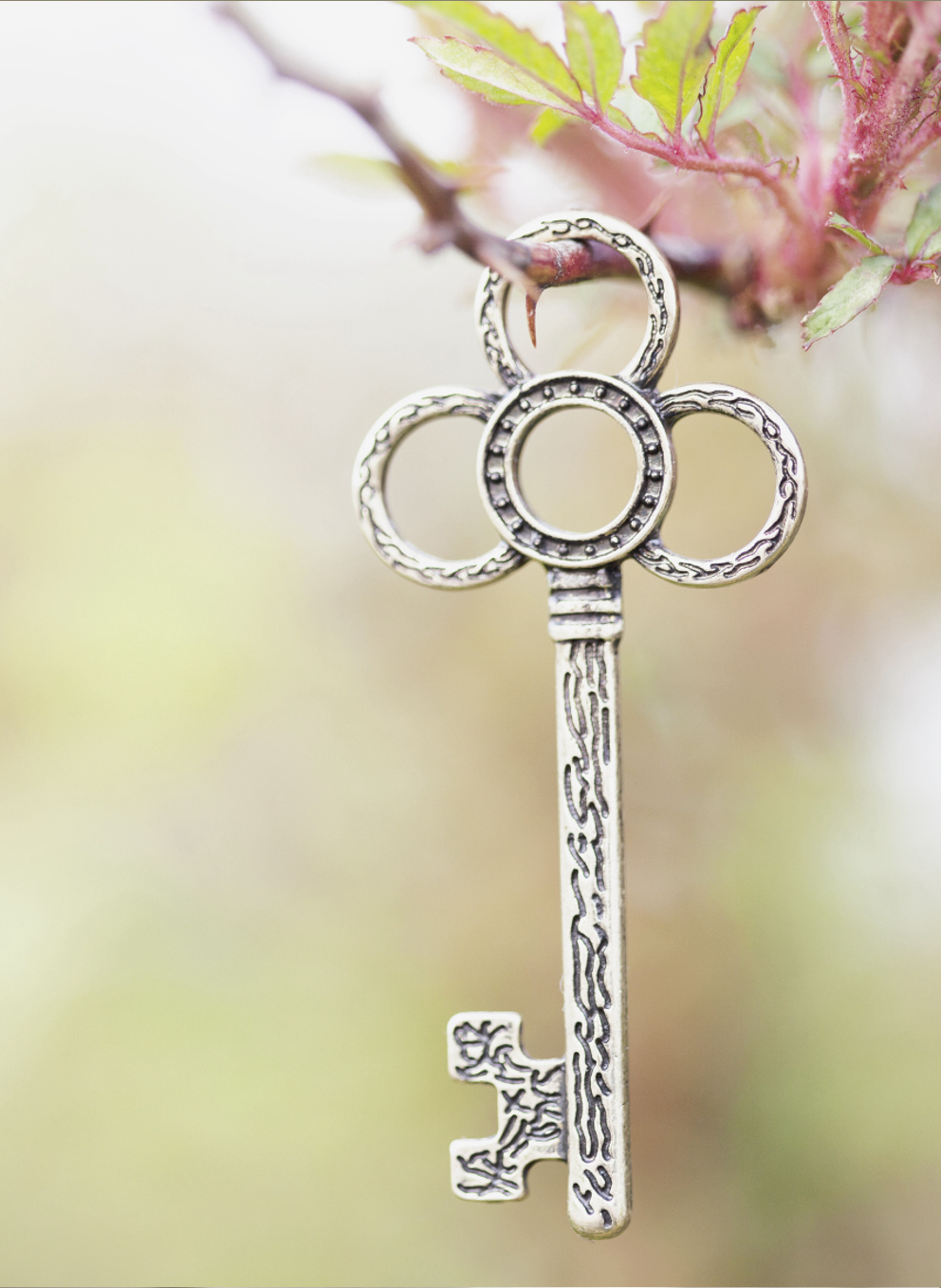 silver key hanging from branch
